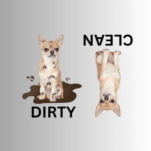 CHIHUAHUA Clean Dirty Dishwasher Flexible Magnet